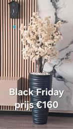 nieuwe bloesemboom incl pot, Ophalen, Nieuw