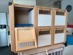 Duivenmand, 3 of 6-vaks., Dieren en Toebehoren, Meerdere dieren
