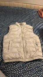Zara bodywarmer, Ophalen of Verzenden, Zo goed als nieuw