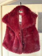 Supermooi bont gilet one  size, Kleding | Dames, Ophalen of Verzenden, Nieuw, Zwart