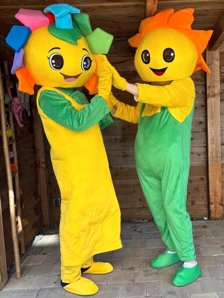 Masked singer Gender reveal party babyshower vossenjacht, Hobby en Vrije tijd, Feestartikelen | Verhuur, Zo goed als nieuw, Overige