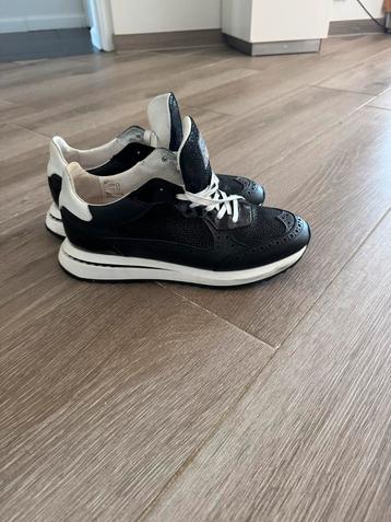Floris van Bommel Sneakers Maat 43 beschikbaar voor biedingen
