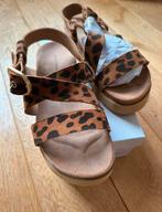 Nieuwe panter sandalen in maat 37, Kleding | Dames, Schoenen, Bruin, Nieuw, Sandalen of Muiltjes, Ophalen of Verzenden