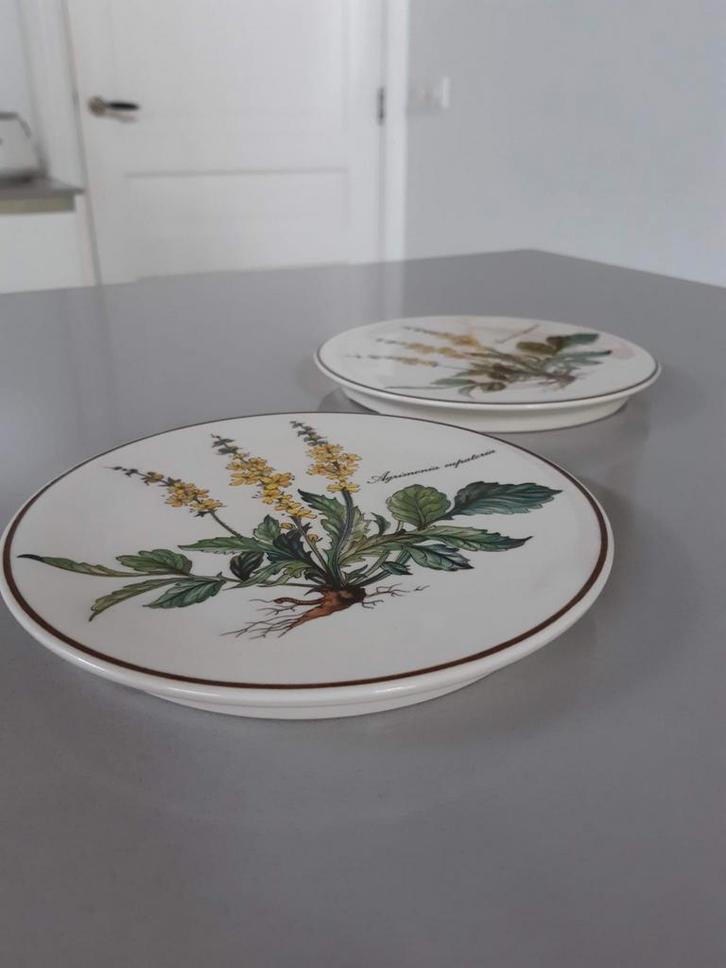 Onderzetter Villeroy en Boch Botanica,  2 beschikbaar, Huis en Inrichting, Keuken | Servies, Zo goed als nieuw, Overige stijlen