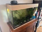 Juwel rio 125L aquarium te koop., Dieren en Toebehoren, Ophalen, Nieuw, Gevuld zoetwateraquarium