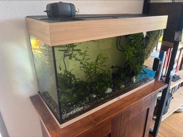 Juwel rio 125L aquarium te koop. beschikbaar voor biedingen