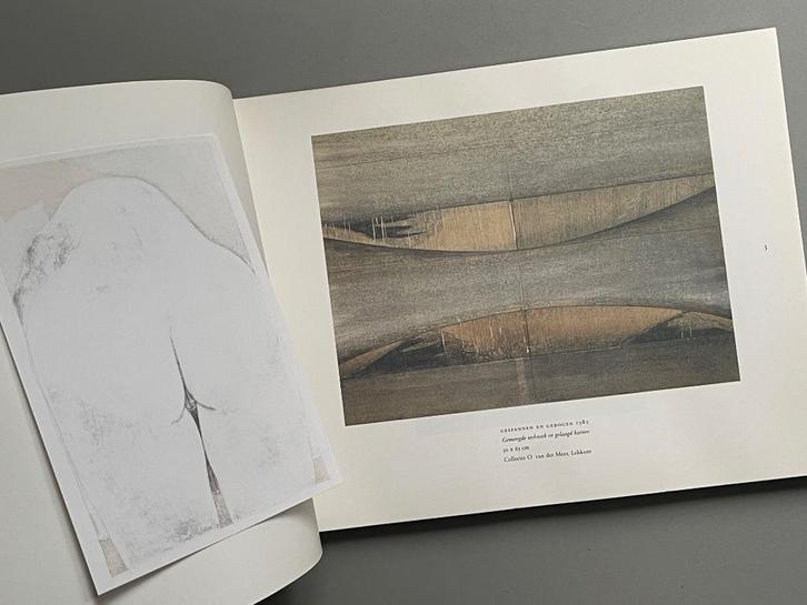 Sjoerd de Vries - Kunstschilder 1996, Boeken, Kunst en Cultuur | Beeldend, Zo goed als nieuw, Schilder- en Tekenkunst, Ophalen of Verzenden