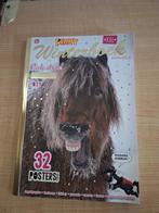 boek penny winterboek, Ophalen of Verzenden, Zo goed als nieuw, Non-fictie