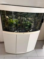 Aquarium, Dieren en Toebehoren, Vissen | Aquaria en Toebehoren, Ophalen of Verzenden, Zo goed als nieuw, Leeg aquarium