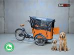 🎄Babboe Go mountain bakfiets met huif, 4 kinderen of meer, Info@babboe.nl, Huif, Ophalen of Verzenden