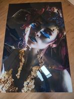 Plexi glas schilderij, Huis en Inrichting, Woonaccessoires | Schilderijen, Tekeningen en Foto's, Ophalen, Zo goed als nieuw, Schilderij