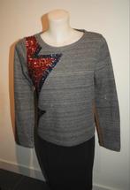 MOETWEG Essentiel Antwerp Trui S met Glitters, Kleding | Dames, Truien en Vesten, Ophalen of Verzenden, Zo goed als nieuw, Essentiel Antwerp