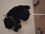 Leuke hobbyhorse met gratis halster, Hobby en Vrije tijd, Ophalen of Verzenden, Gebruikt
