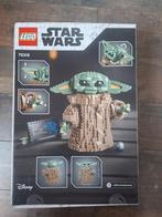 Lego the Child 75318, Ophalen, Zo goed als nieuw