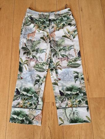 Blauw/groene WE jungle broek 36. beschikbaar voor biedingen