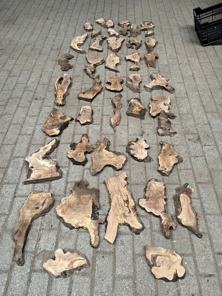 Krat 40 stukjes uniek olive woods  voor bv mos schilderij, Ophalen, Nieuw