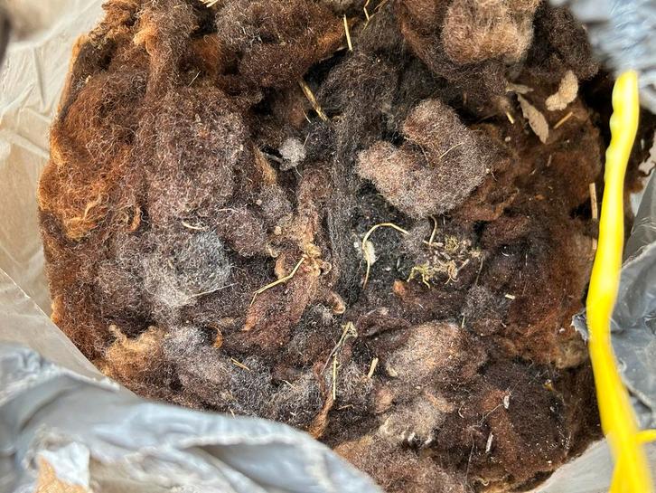 Gratis Schapenwol voor Moestuin, Tuin en Terras, Aarde en Mest, Overige typen, Ophalen