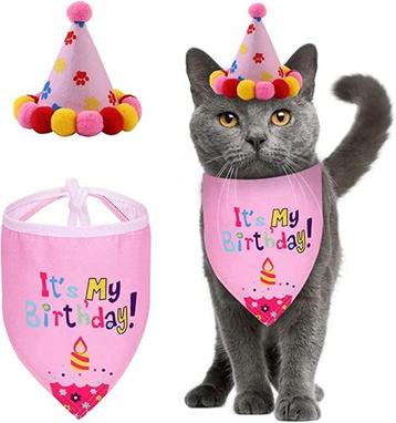 Verjaardagshoedje en bandana voor katten roze of blauw beschikbaar voor biedingen