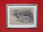 Adri Pieck.1894-1982.Schaap met lammetjes, Ophalen of Verzenden