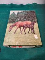legpuzzel paarden 35 stukjes, Ophalen of Verzenden