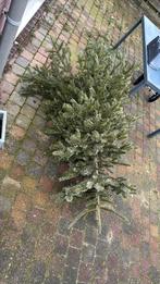 Brandhout / kerstboom, Minder dan 3 m³, Ophalen