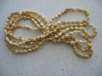 Schelpjes Kralen Ketting * Mooi Vintage ( nr 2 ) BVaN beschikbaar voor biedingen