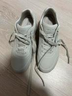 Sketchers, Ophalen of Verzenden, Nieuw