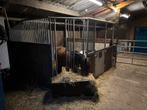Te koop stalwanden, Dieren en Toebehoren, Stalling en Weidegang, Toebehoren, 1 paard of pony