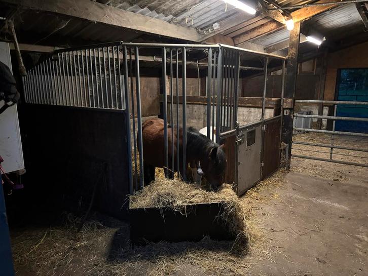 Te koop stalwanden, Dieren en Toebehoren, Stalling en Weidegang, Toebehoren, 1 paard of pony