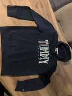 Tommy Hilfiger Hoody Maat L, Kleding | Heren, Truien en Vesten, Maat 52/54 (L), Blauw, Tommy Hilfiger, Nieuw