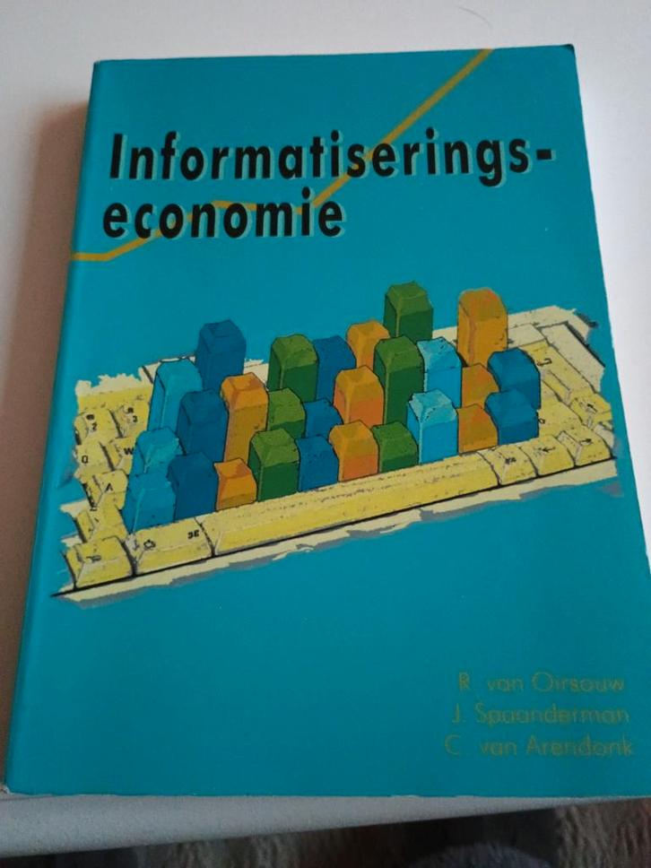 R.R. van Oirsouw - Informatiseringseconomie, Boeken, Informatica en Computer, Zo goed als nieuw, Overige onderwerpen, Ophalen of Verzenden