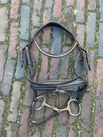 GLOEDNIEUWE claridge bruin rose hoofdstel full, Ophalen of Verzenden, Nieuw, Dressuur