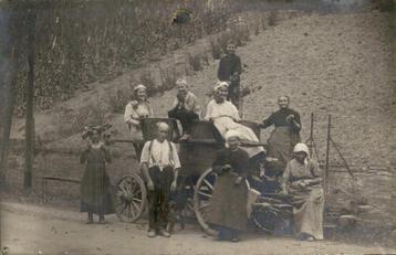 Fotokaart - Nederland - Familie - Boeren - Wijn ?  beschikbaar voor biedingen