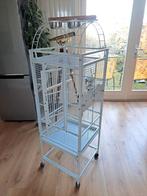 Vogel kooi, Dieren en Toebehoren, Mannelijk, Parkiet