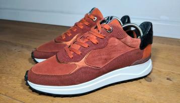 Floris van Bommel dames schoenen maat 41 beschikbaar voor biedingen