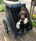Thule Coaster XT Fietskar / hondenkar, Ophalen, Vering, 20 tot 40 kg, Hondenkar