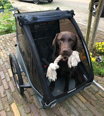 Thule Coaster XT Fietskar / hondenkar + 2x fietskoppeling beschikbaar voor biedingen