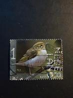 4042 fluiter beleef de natuur 2022, Ophalen of Verzenden