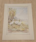 Prent van Zwanen, Verzamelen, Foto's en Prenten, Ophalen of Verzenden, Voor 1940
