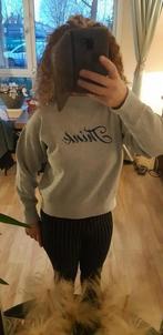 Isabel marant trui maat 36, Isabel Marant, Ophalen of Verzenden, Zo goed als nieuw, Maat 36 (S)