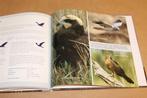Arendsoog — Roofvogels in Nederland — Uitgave KNNV & IVN, Ophalen of Verzenden, Zo goed als nieuw, Honden