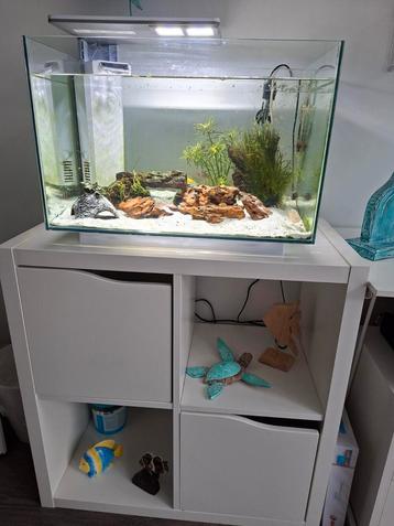 Aquarium super fish beschikbaar voor biedingen