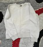 Zara trui maat M, Ophalen of Verzenden, Zo goed als nieuw, Maat 38/40 (M)
