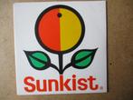 a5634 sunkist - come back to your senses, Gebruikt, Ophalen of Verzenden, 7 inch, Single