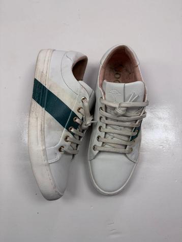 Joop! witte sneakers met groene streep maat 39 beschikbaar voor biedingen
