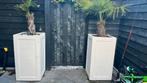 Twee plantenbakken met palmbomen kleur taupe, Tuin en Terras, Gebruikt, Ophalen of Verzenden, 60 cm of meer, Rechthoekig