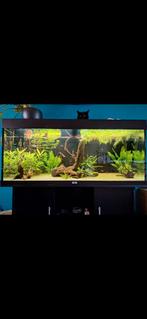 Juwel aquarium 120x40x40 compleet, Ophalen, Zo goed als nieuw