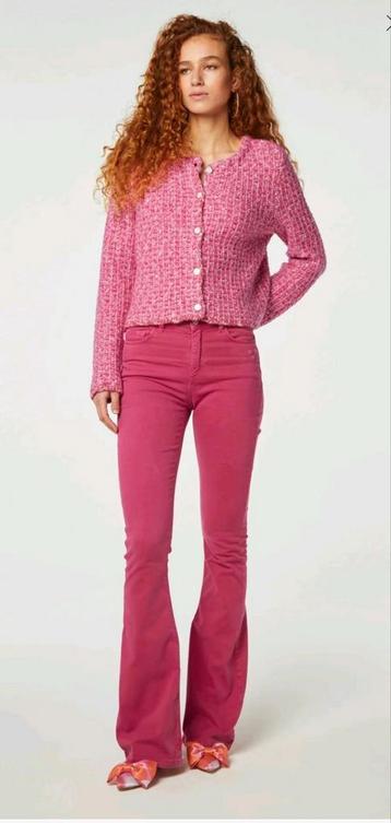 Fabienne Chapot Eva flare broek maat 29 *nieuw* beschikbaar voor biedingen