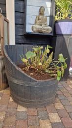 Wijnvaten als plantenbakken met hortensia, Tuin en Terras, Ophalen, Gebruikt, Minder dan 60 cm, Rond