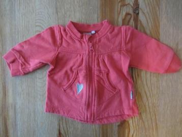 Roze/rood vestje Name it maat 50 beschikbaar voor biedingen